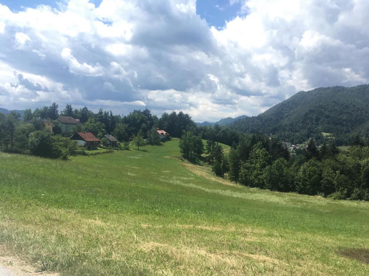 B&B Cerne Polhov Gradec Exteriör bild