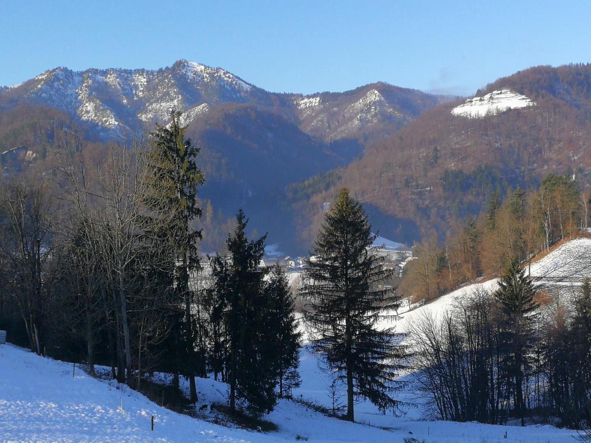 B&B Cerne Polhov Gradec Exteriör bild