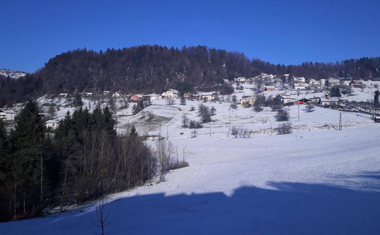 B&B Cerne Polhov Gradec Exteriör bild