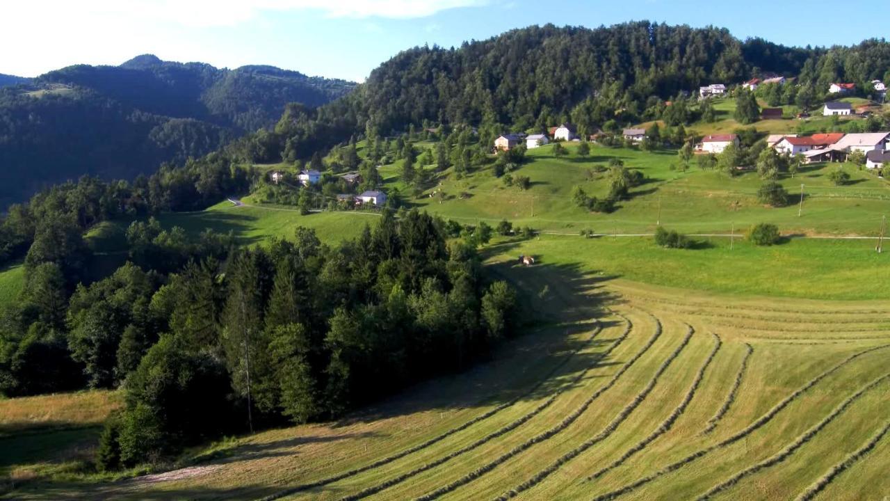 B&B Cerne Polhov Gradec Exteriör bild